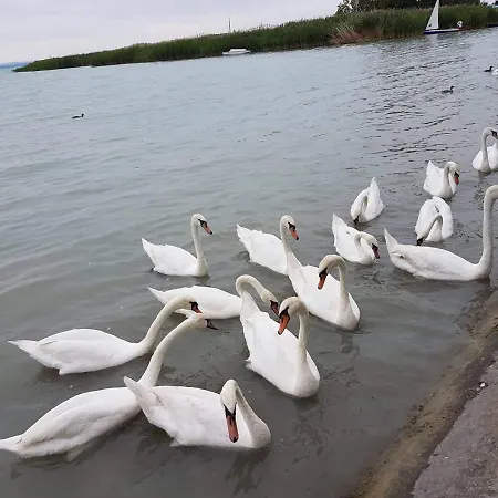 Apartament Syrah Wellness *